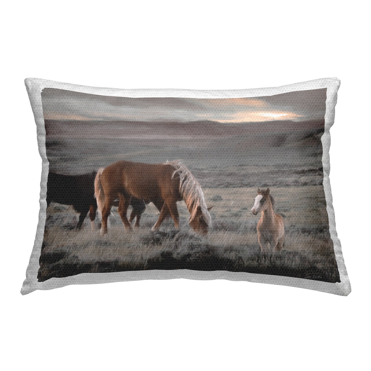 Country Horses in Valley Outdoor Printed Pillow Design by Lori Deiter, 14 x 7 x 20